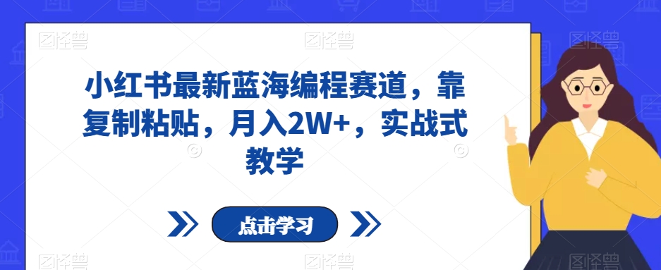 小红书最新蓝海编程赛道，靠复制粘贴，月入2W+，实战式教学【揭秘】-辉硕副业