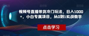 视频号直播带货冷门玩法,日入1000+,小白专属项目,从0到1实战教学【揭秘】-辉硕副业