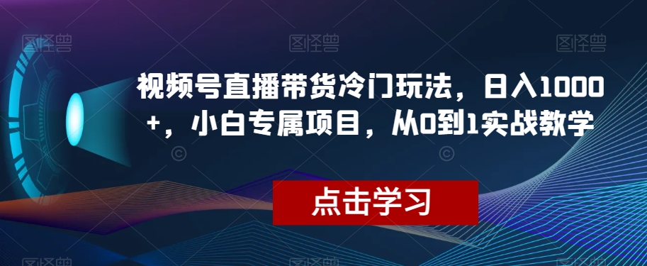 视频号直播带货冷门玩法，日入1000+，小白专属项目，从0到1实战教学【揭秘】-辉硕副业