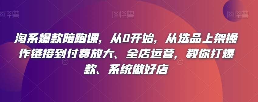 淘系爆款陪跑课，从0开始，从选品上架操作链接到付费放大、全店运营，教你打爆款、系统做好店-辉硕副业