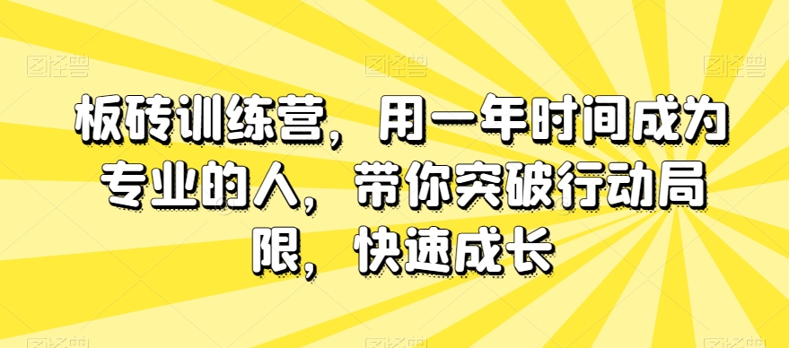 板砖训练营，用一年时间成为专业的人，带你突破行动局限，快速成长-辉硕副业