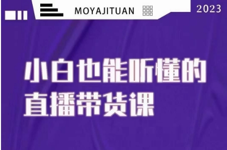 大威本威·能听懂的直播带货课，小白也能听懂，20节完整-辉硕副业