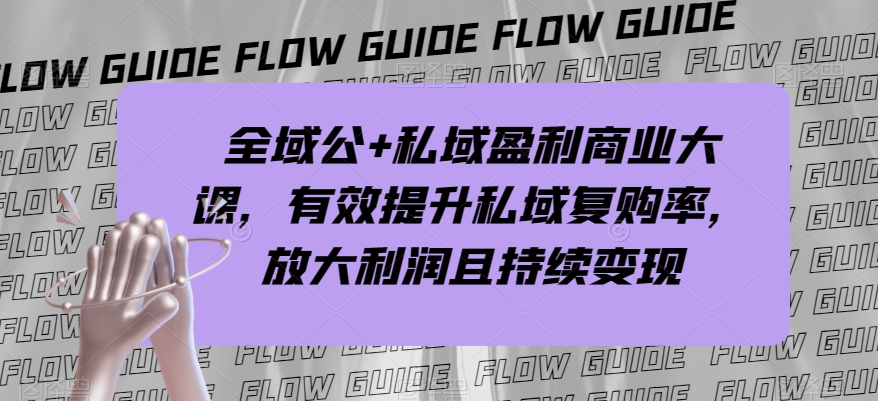 全域公+私域盈利商业大课，有效提升私域复购率，放大利润且持续变现-辉硕副业