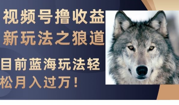 视频号撸收益新玩法之狼道，目前蓝海玩法，轻松月入过万【揭秘】-辉硕副业