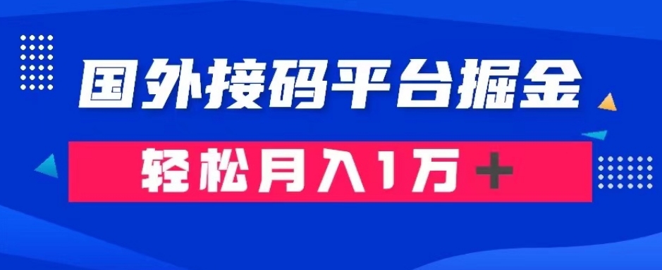 通过国外接码平台掘金：成本1.3，利润10＋，轻松月入1万＋【揭秘】-辉硕副业