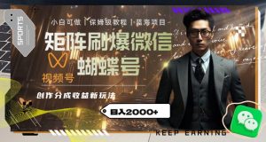 矩阵刷爆微信蝴蝶号创作者分成计划收益的新玩法,日入2000+【揭秘】-辉硕副业