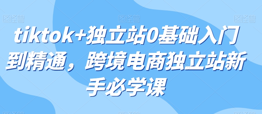 tiktok+独立站0基础入门到精通，跨境电商独立站新手必学课-辉硕副业