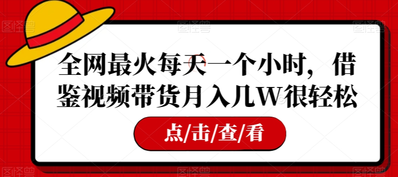 全网最火每天一个小时，借鉴视频带货月入几W很轻松【揭秘】-辉硕副业
