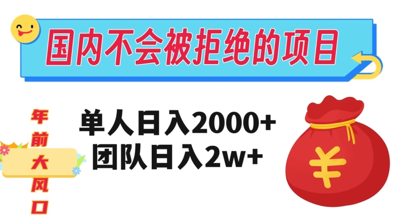 在国内不怕被拒绝的项目，单人日入2000，团队日入20000+【揭秘】-辉硕副业