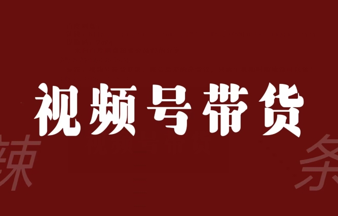 视频号带货联盟，赚信息差的带货钱，只需手机随时随地都可以做！-辉硕副业
