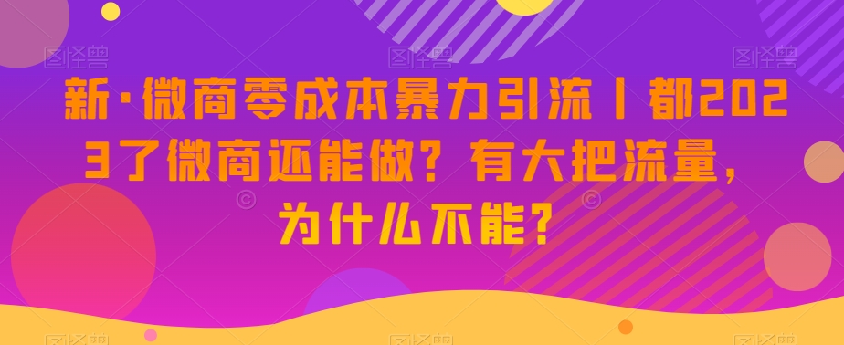 新·微商零成本暴力引流丨都2023了微商还能做？有大把流量，为什么不能？-辉硕副业