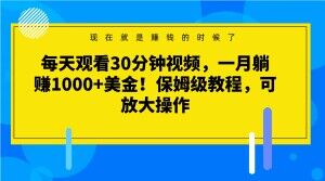 每天观看30分钟视频，一月躺赚1000+美金！保姆级教程，可放大操作【揭秘】-辉硕副业