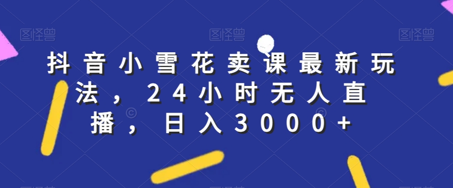抖音小雪花卖课最新玩法，24小时无人直播，日入3000+【揭秘】-辉硕副业