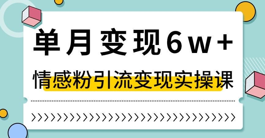 单月变现6W+，抖音情感粉引流变现实操课，小白可做，轻松上手，独家赛道【揭秘】-辉硕副业