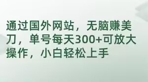 通过国外网站，无脑赚美刀，单号每天300+可放大操作，小白轻松上手【揭秘】-辉硕副业