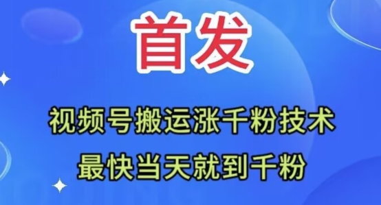 全网首发：视频号无脑搬运涨千粉技术，最快当天到千粉【揭秘】-辉硕副业