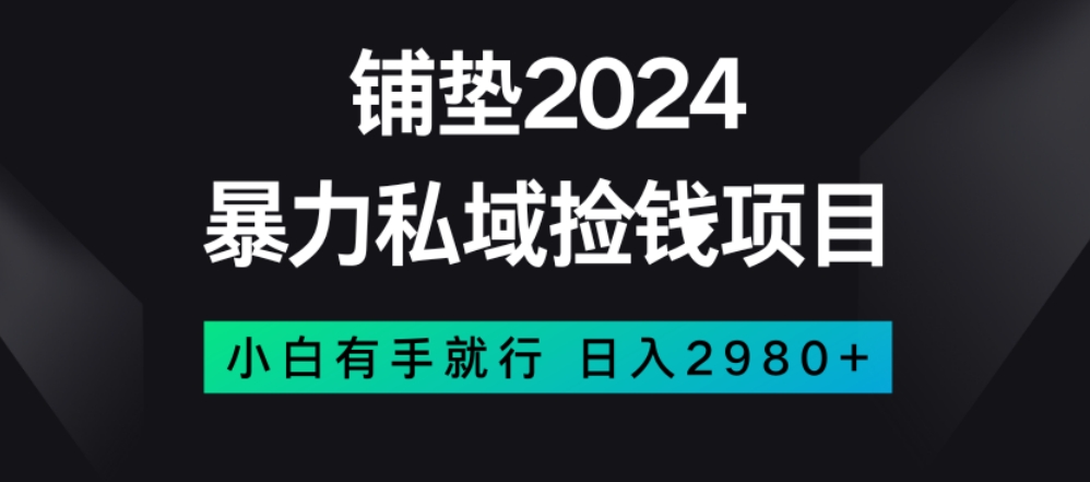 暴力私域捡钱项目，小白无脑操作，日入2980【揭秘】-辉硕副业