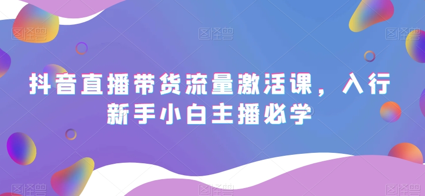 抖音直播带货流量激活课，入行新手小白主播必学-辉硕副业