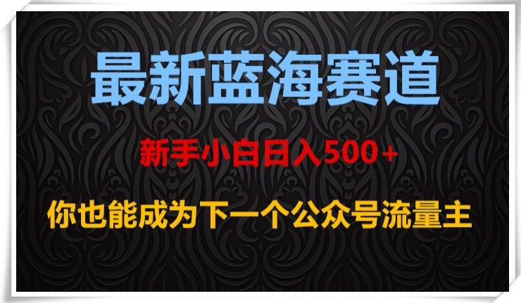 最新蓝海赛道，新手小白日入500+，你也能成为下一个公众号流量主【揭秘】-辉硕副业