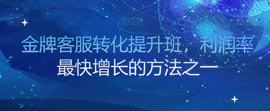 金牌客服转化提升班，利润率最快增长的方法之一-辉硕副业