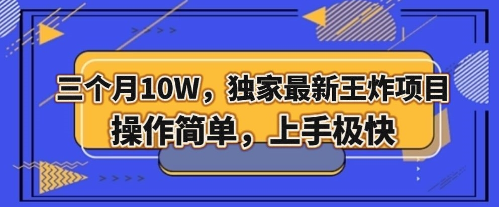 三个月10W，独家最新王炸项目！操作简单，上手极快【揭秘】-辉硕副业