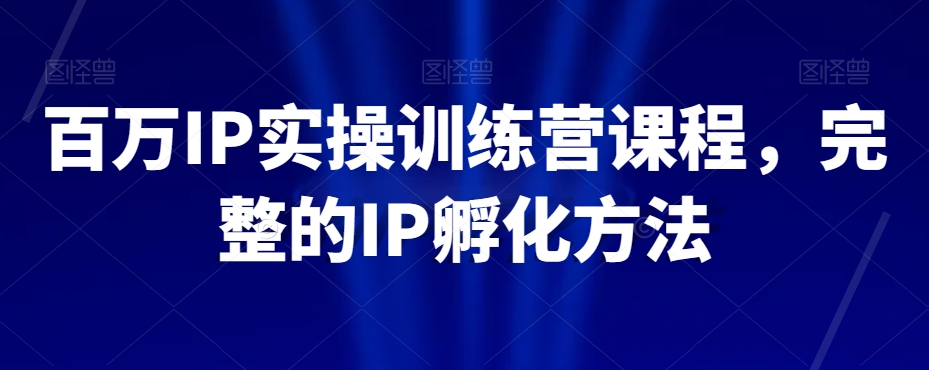 百万IP实操训练营课程，完整的IP孵化方法-辉硕副业