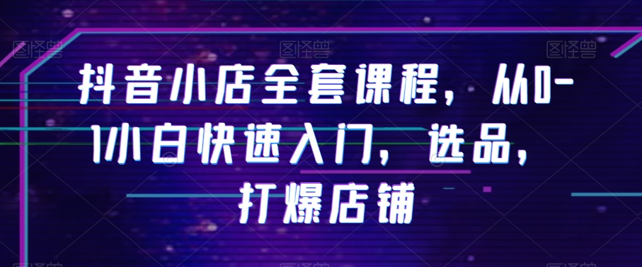 抖音小店全套课程，从0-1小白快速入门，选品，打爆店铺-辉硕副业
