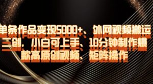 单条作品变现5000+、外网视频搬运二创,小白可上手,10分钟制作爆款高原创视频,矩阵操作【揭秘】-辉硕副业