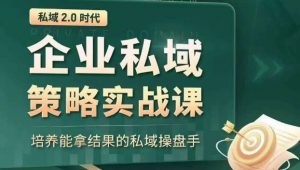 私域2.0时代:企业私域策略实战课,培养能拿结果的私域操盘手-辉硕副业