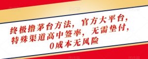 终极撸茅台方法,官方大平台,特殊渠道高中签率,无需垫付,0成本无风险【揭秘】-辉硕副业