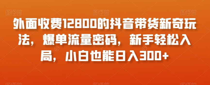 外面收费12800的抖音带货新奇玩法，爆单流量密码，新手轻松入局，小白也能日入300+【揭秘】-辉硕副业