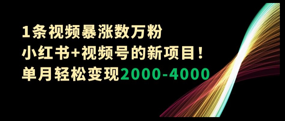 1条视频暴涨数万粉–小红书+视频号的新项目！单月轻松变现2000-4000【揭秘】-辉硕副业