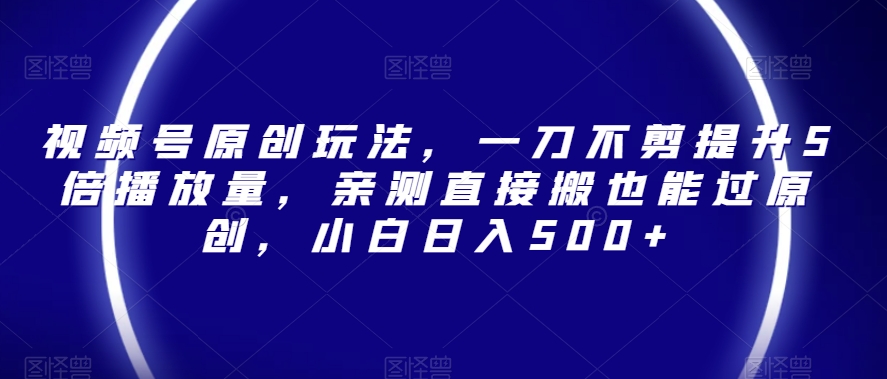 视频号原创玩法，一刀不剪提升5倍播放量，亲测直接搬也能过原创，小白日入500+【揭秘】-辉硕副业