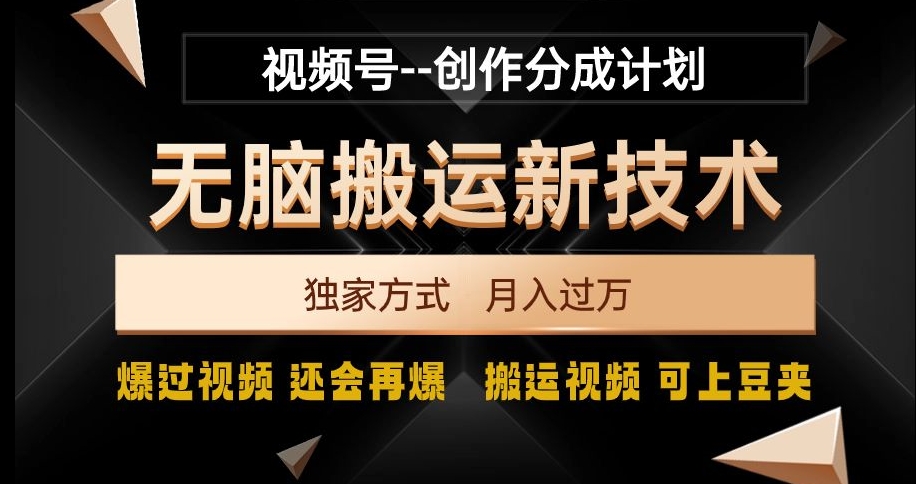 视频号无脑搬运新技术，破原创壕流量，独家方式，爆过视频，还会再爆【揭秘】-辉硕副业
