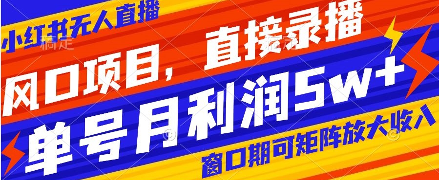 风口项目，小红书无人直播带货，直接录播，可矩阵，月入5w+【揭秘】-辉硕副业
