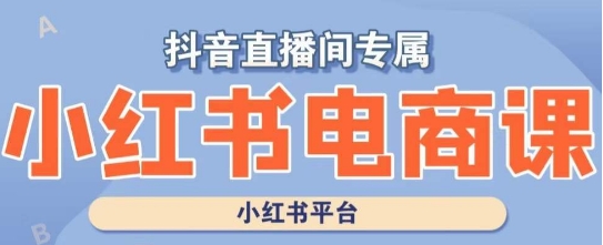 小红书电商高级运营课程，实操教学+案例分析-辉硕副业