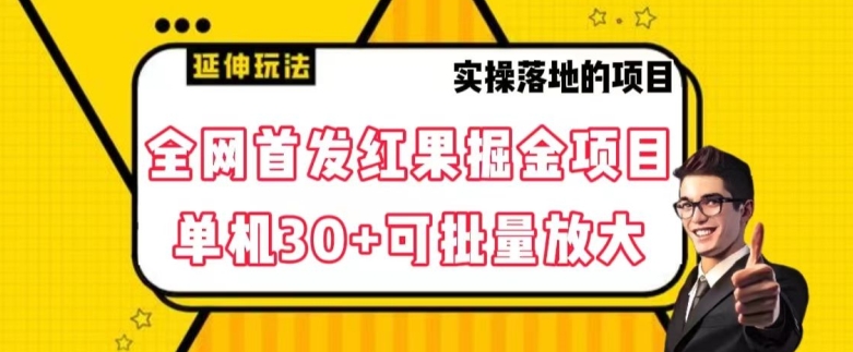 全网首发红果免费短剧掘金项目，单机30+可批量放大【揭秘】-辉硕副业