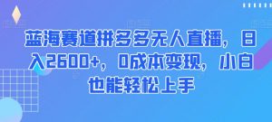 蓝海赛道拼多多无人直播,日入2600+,0成本变现,小白也能轻松上手【揭秘】-辉硕副业