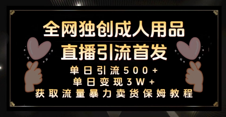 全网独创真人主播+无人直播单日引流500+，橙人用品暴力卖货单日变现3W+保姆似教学2.0【揭秘】-辉硕副业