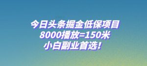 今日头条掘金低保项目,8000播放=150米,小白副业首选【揭秘】-辉硕副业