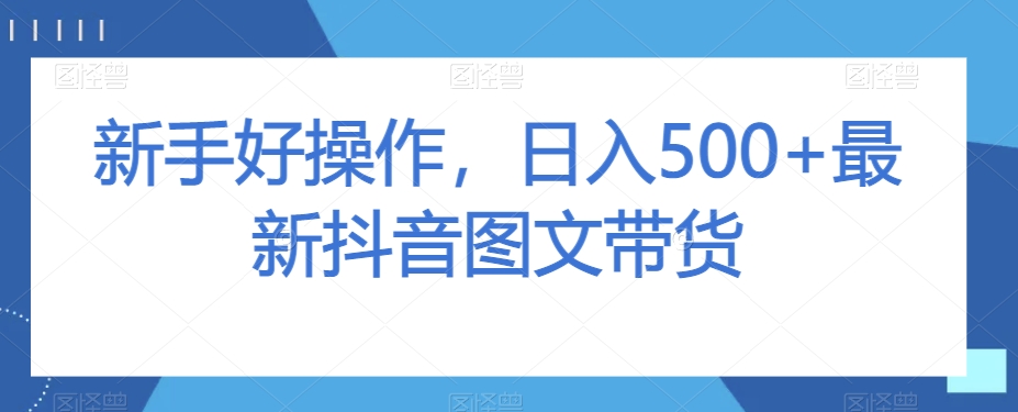 新手好操作，日入500+最新抖音图文带货【揭秘】-辉硕副业