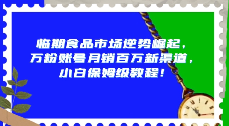 临期食品市场逆势崛起，万粉账号月销百万新渠道，小白保姆级教程【揭秘】-辉硕副业