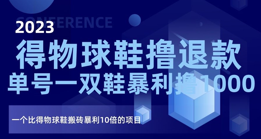 2023得物球鞋撸退款，单号一双鞋暴利撸1000，一个比得物球鞋搬砖暴利10倍的项目【揭秘】-辉硕副业