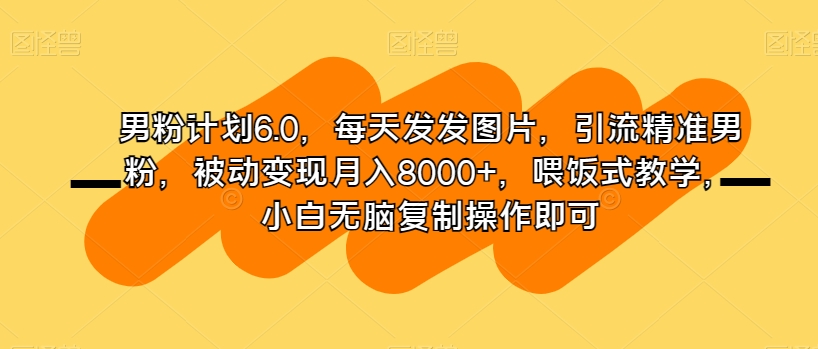 男粉计划6.0，每天发发图片，引流精准男粉，被动变现月入8000+，喂饭式教学，小白无脑复制操作即可-辉硕副业