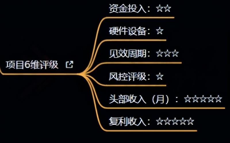 十万个富翁修炼宝典之4.一个大学生操作这个项目，一个月能搞一万-辉硕副业