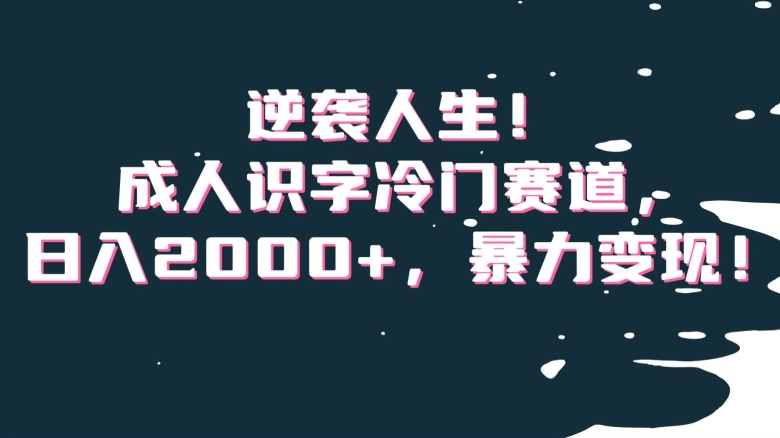 逆袭人生！成人识字冷门赛道，日入2000+，暴力变现！【揭秘】-辉硕副业