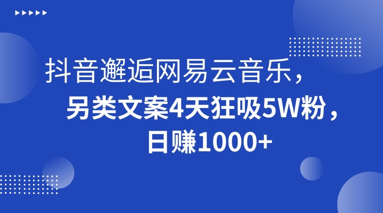 抖音邂逅网易云音乐，另类文案4天狂吸5W粉，日赚1000+【揭秘】-辉硕副业