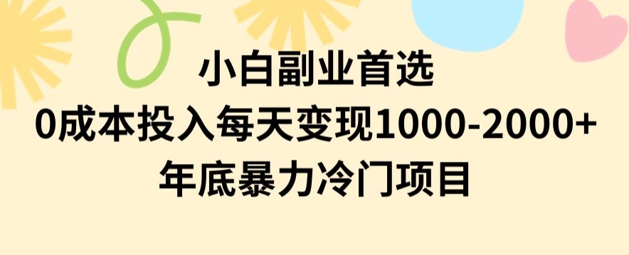 小白副业首选，0成本投入，每天变现1000-2000年底暴力冷门项目【揭秘】-杨大侠副业网