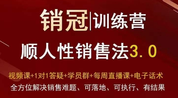 爆款！销冠训练营3.0之顺人性销售法，全方位解决销售难题、可落地、可执行、有结果-杨大侠副业网