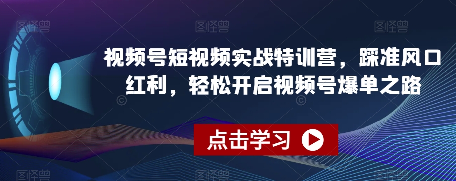 视频号短视频实战特训营，踩准风口红利，轻松开启视频号爆单之路-杨大侠副业网